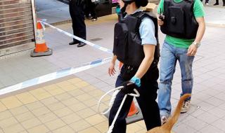 香港发生了什么 香港发生了什么