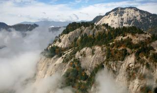 镇安木王森林公园 镇安木王森林公园